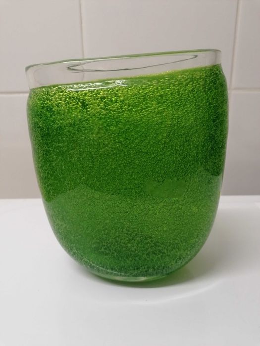 Vaso/Jarra Decorativa em Vidro Verde "Bolhas" (Estilo Pulegoso)