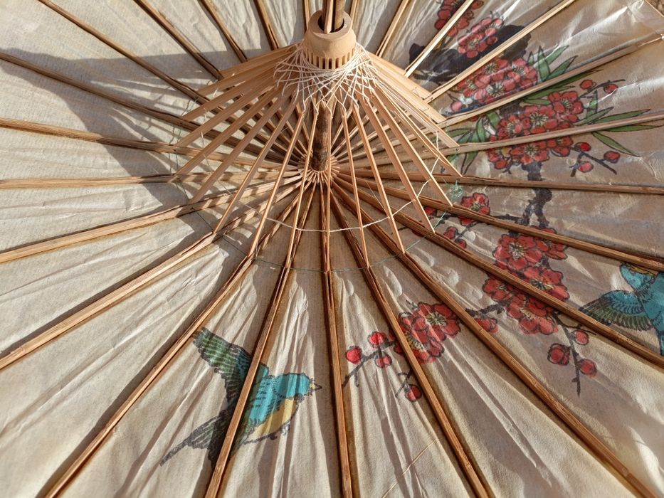 Chińska parasolka. Okazja