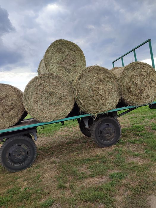 Siano w balotach 120x120