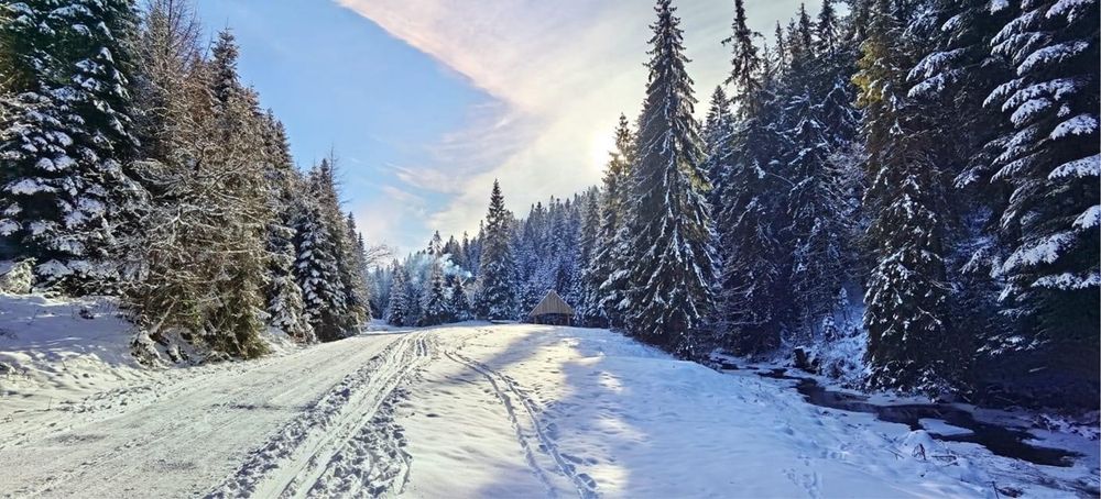 Wolny weekend Domek z Balią w lesie