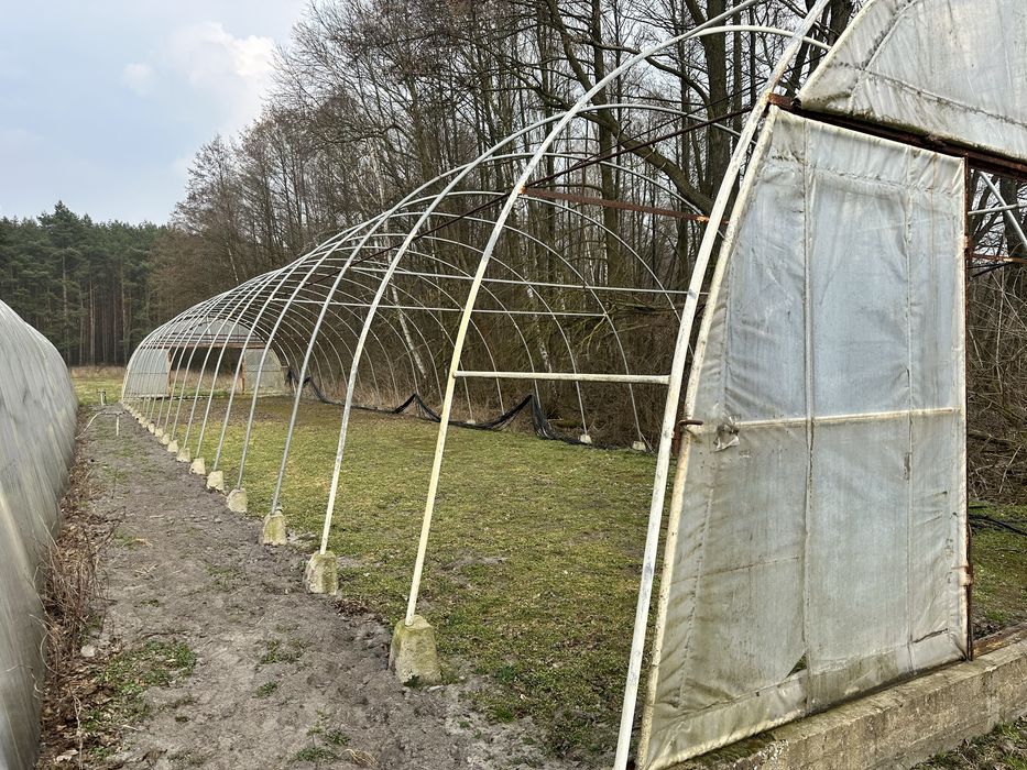 Konstrukcja Tunel foliowy ocynk