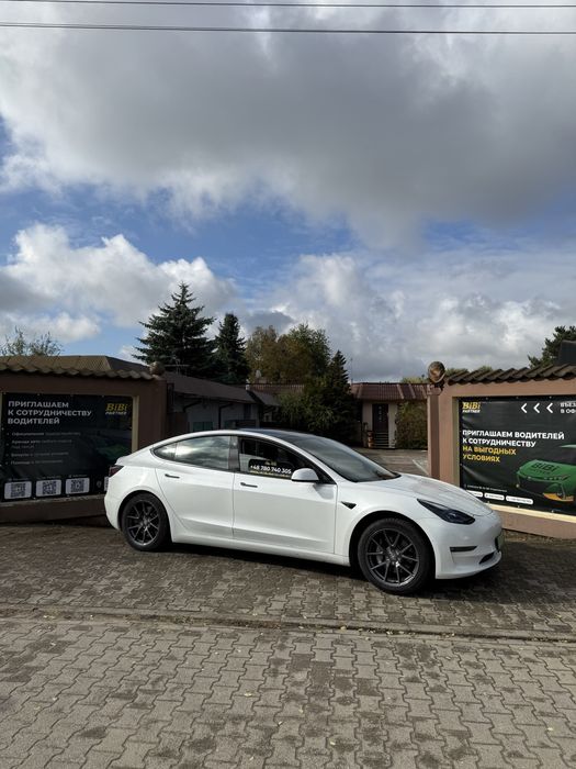 Wynajem aut, аренда авто