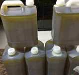 Vendo azeite caseiro de boa qualidade 5L 20€