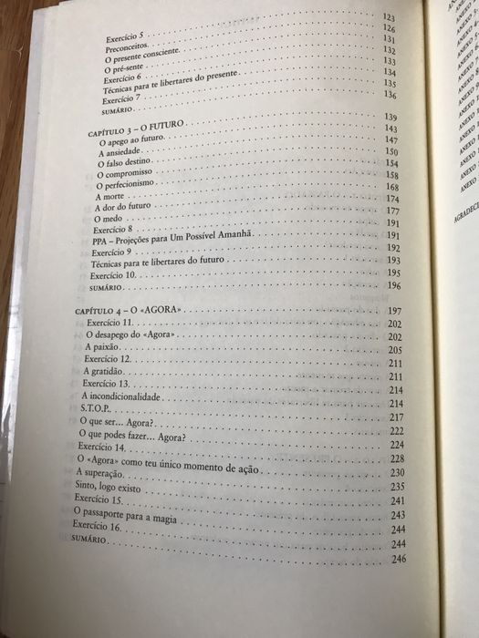 Livro Agarra o Agora