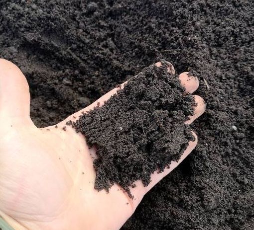 Czarnoziem TANIO! od rolnika z kompostem wysoka jakosc