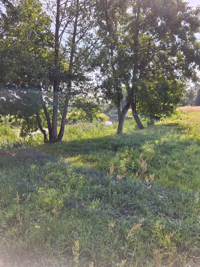 Działka z bezpośrednim dostępem do rzeki Wkry Podsmardzewo