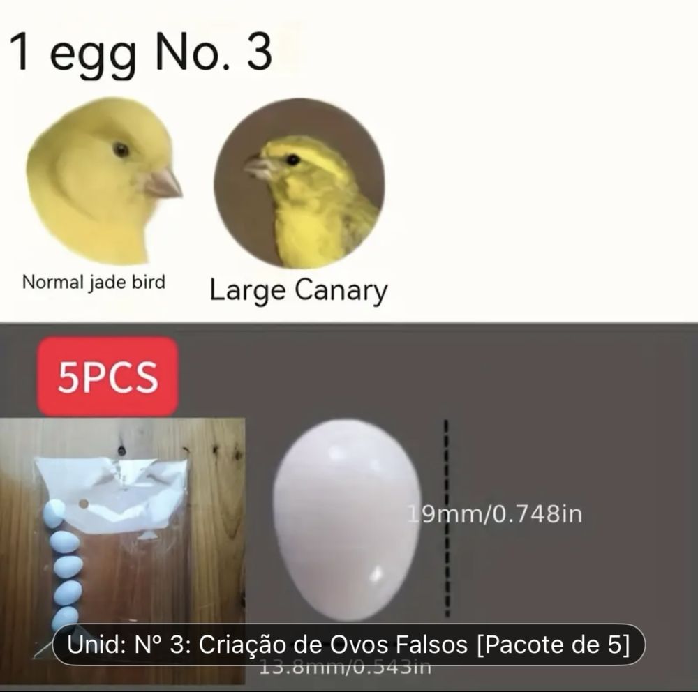 Ovos de plastico de aves