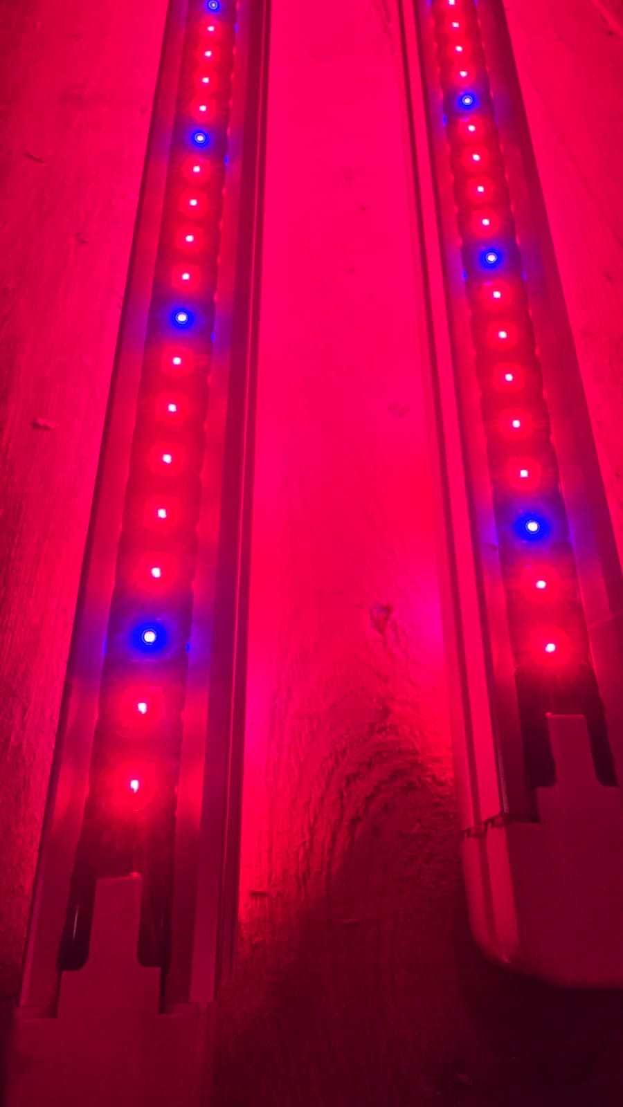 Lampa do roślin grow