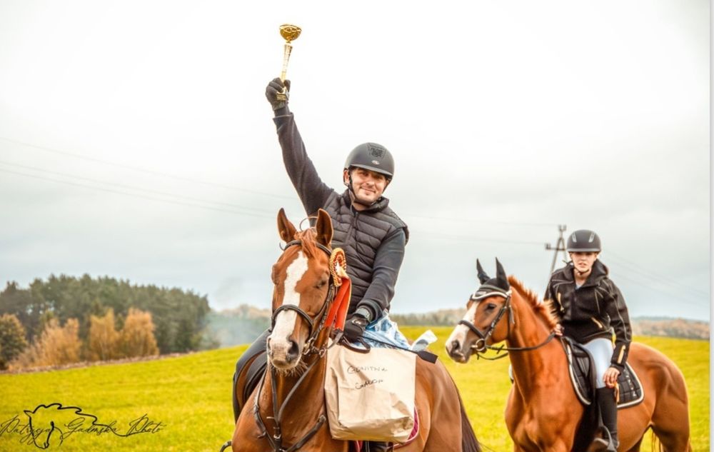 Wałach kasztan malowany sp dla dzieci!