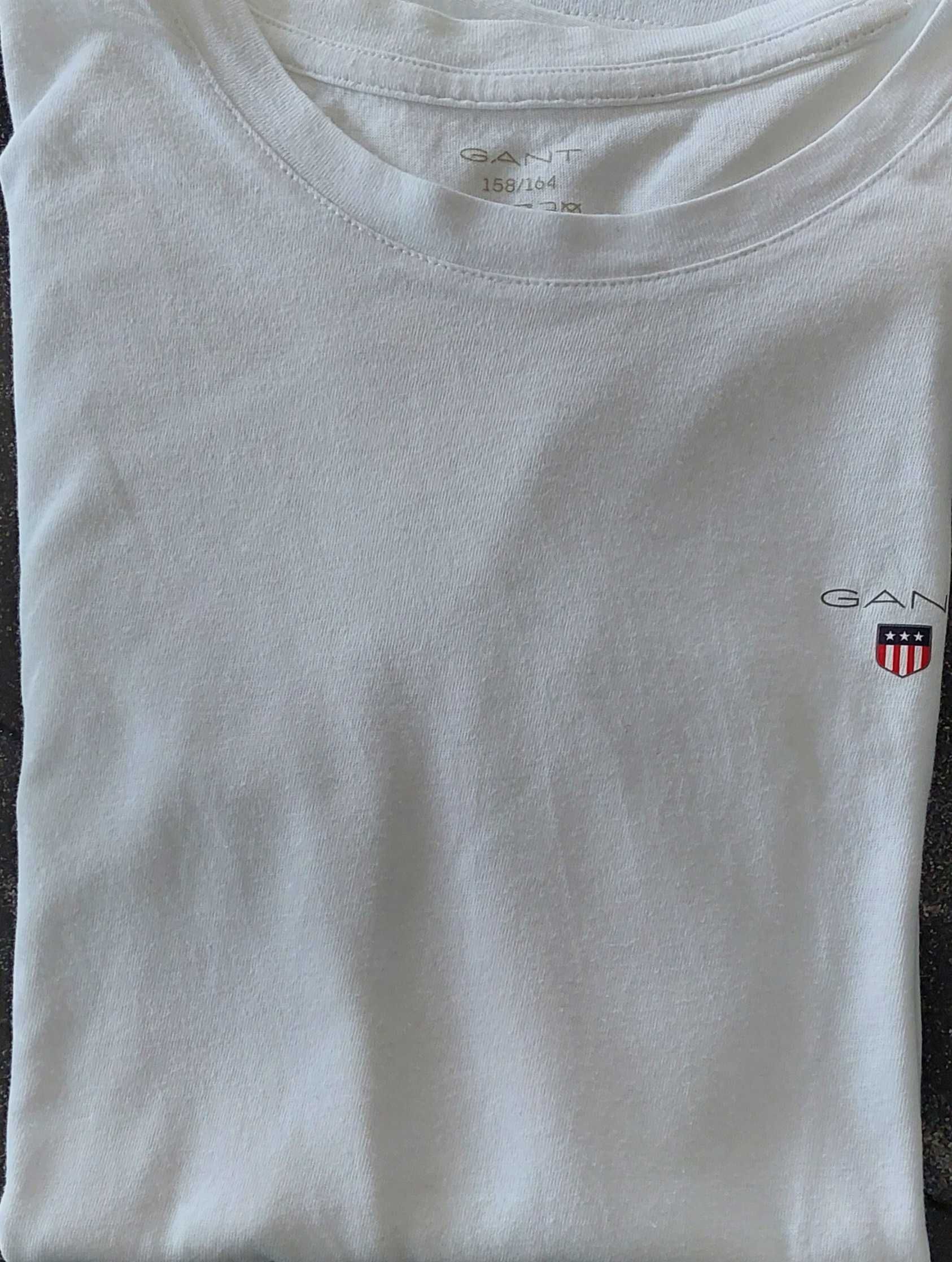 Tshirt crianca gant