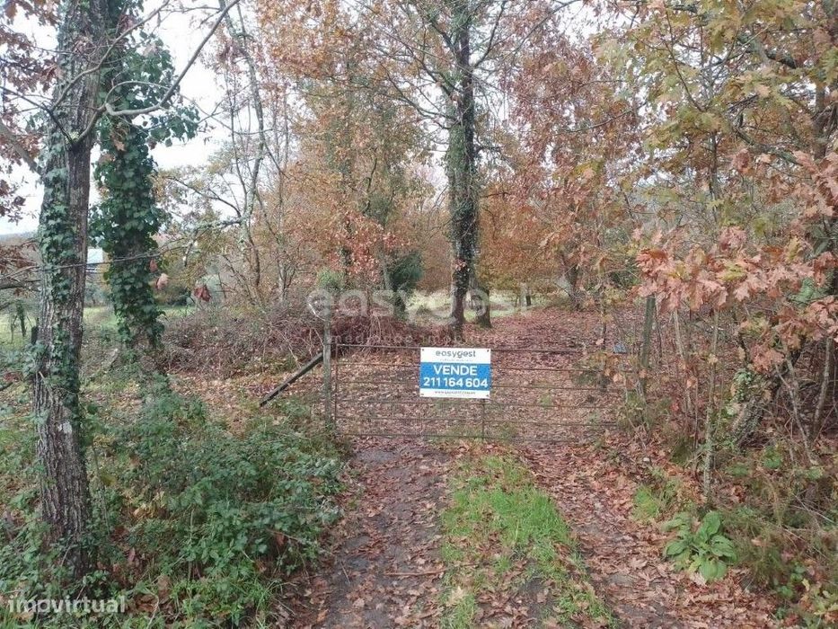 Terreno com viabilidade de construção em Canas de Santa Maria, Tondela