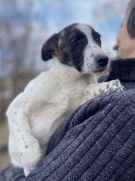 Знайдись, родина!