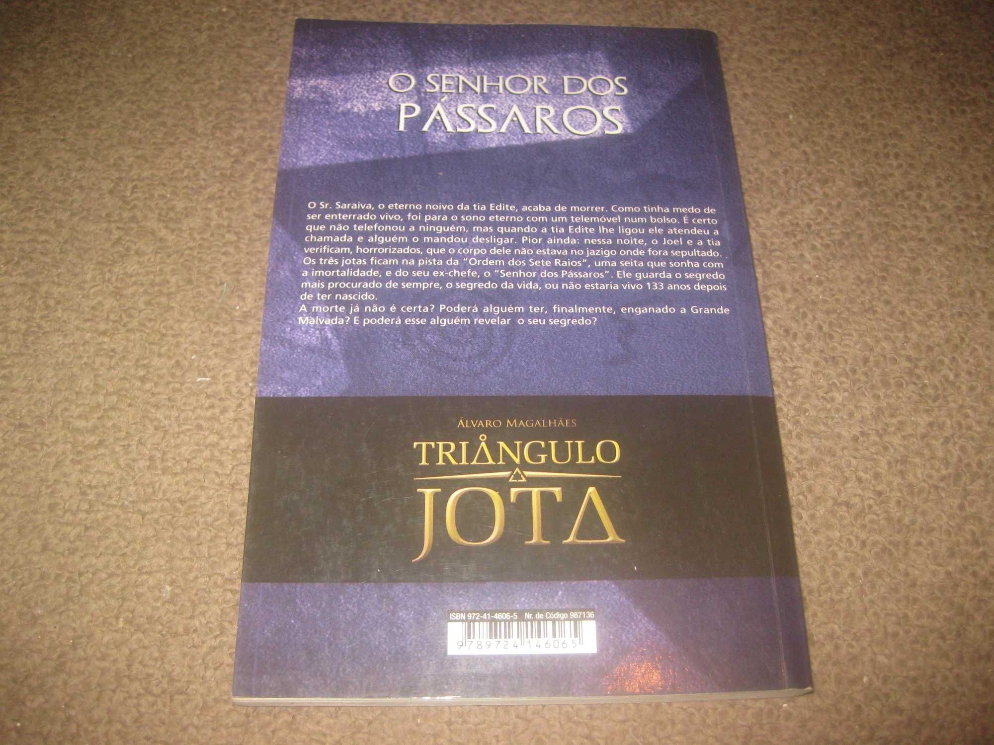 Livro do Triângulo Jota "O Senhor dos Pássaros" de Álvaro Magalhães