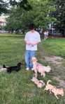 Opieka nad psem / petsitter – Wrocław – dostępni od sierpnia