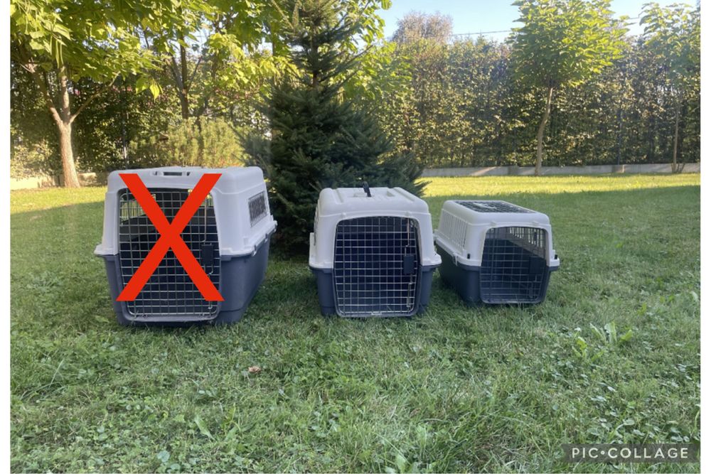 Transporter dla psa  – 2 sztuki
