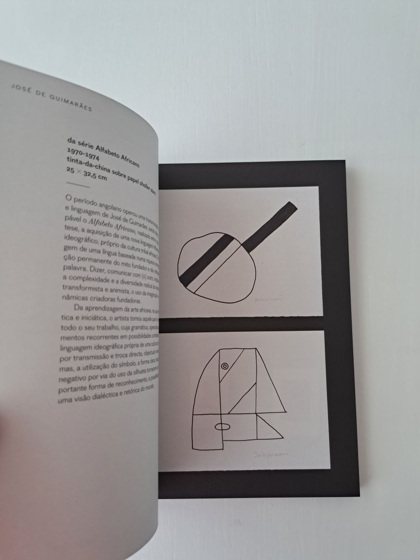 Catálogo da Exposição de José de Guimarães