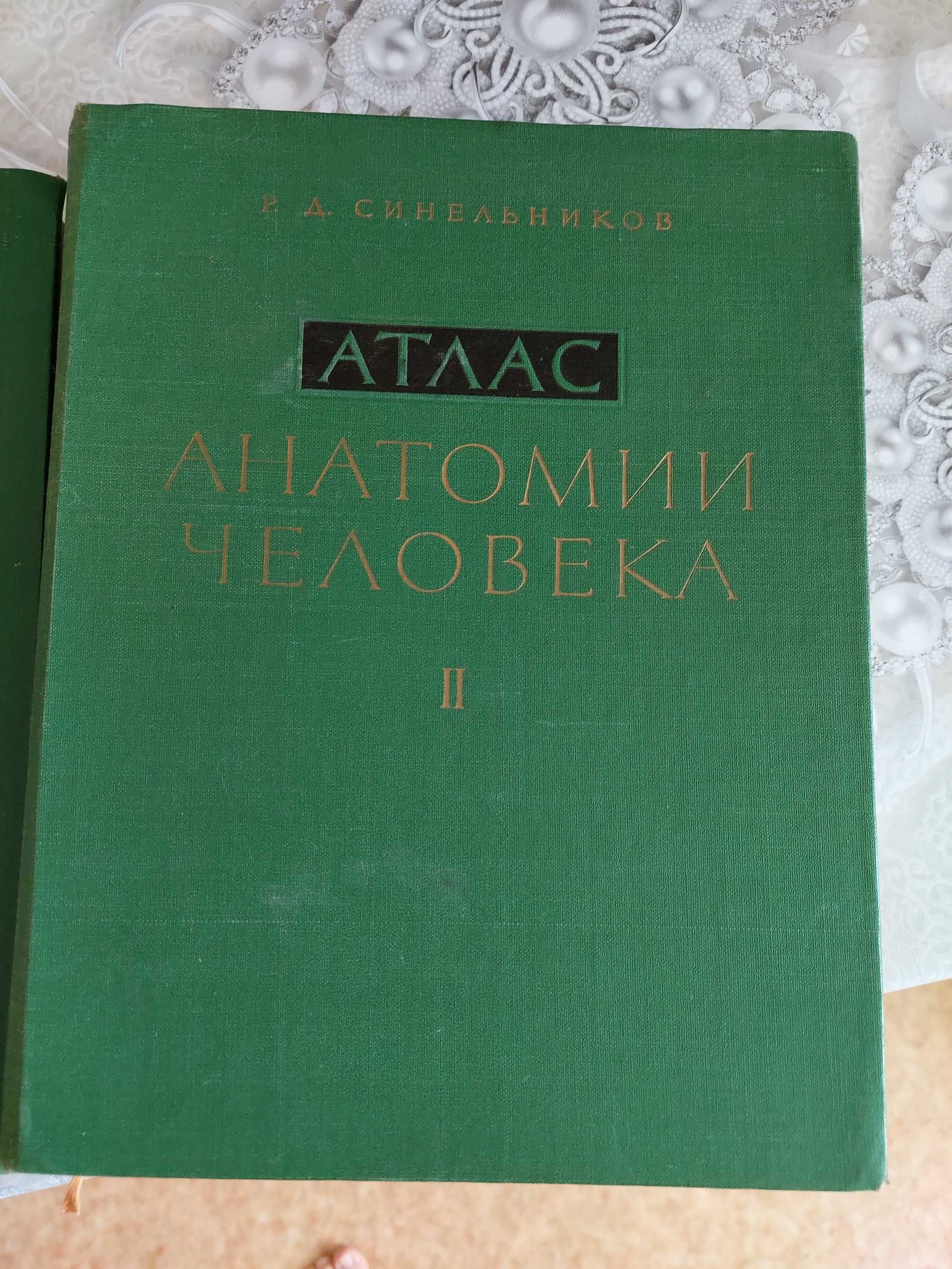 Синельников Атлас анатомии человека