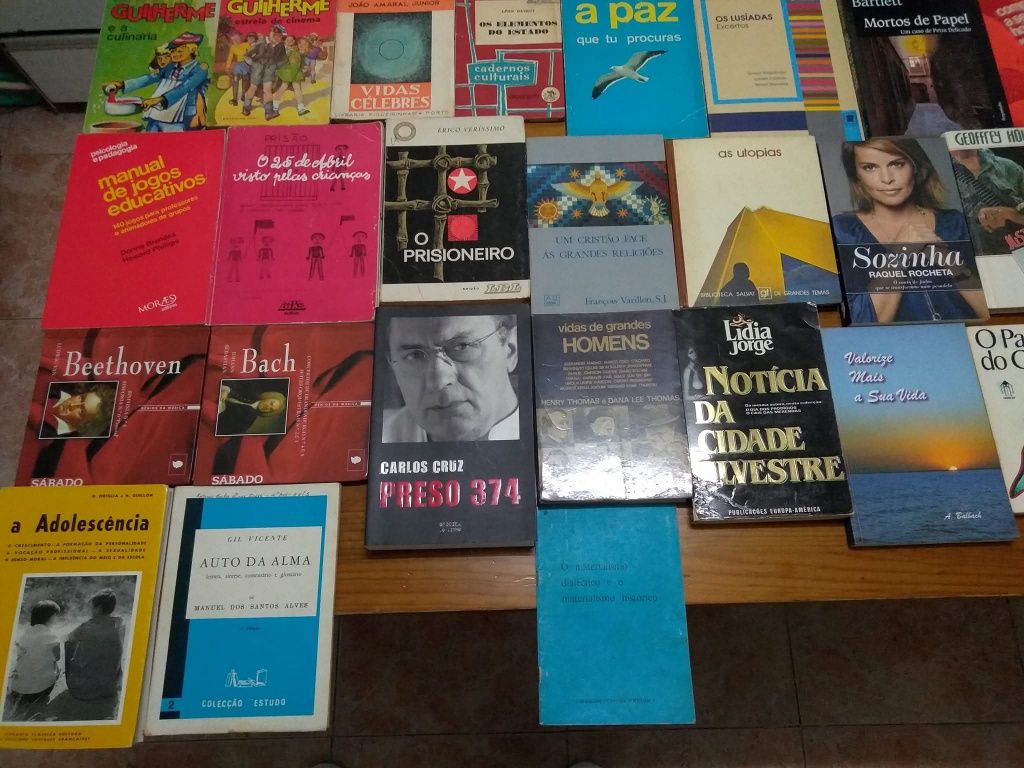 Lote de livros coleção