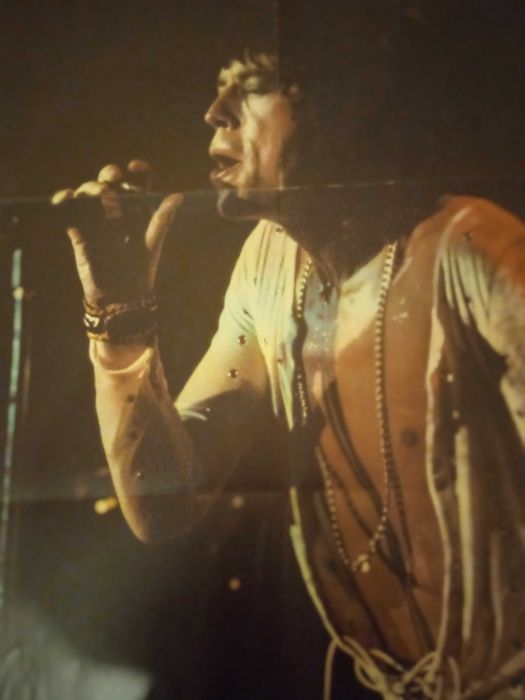 Большой постер  Mick Jagger и др.