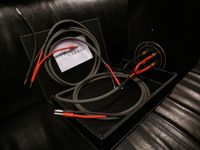 Cardas 101 kable głośnikowe konfekcja zworki wtyki Trans Audio Hi-Fi