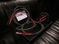 Cardas 101 kable głośnikowe konfekcja zworki wtyki Trans Audio Hi-Fi