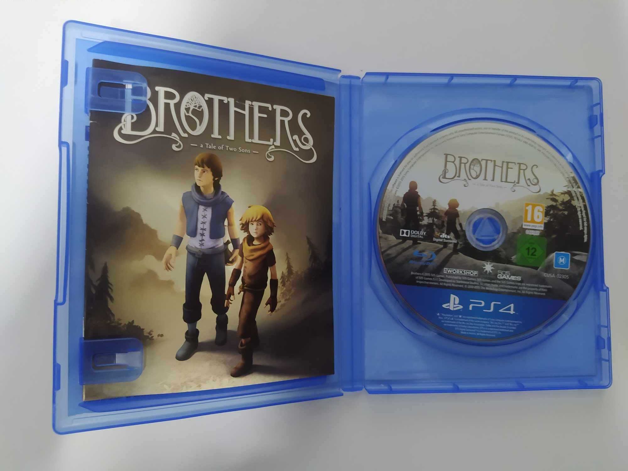 Brothers: A Tale of Two Sons PS4 Angielska wersja gry PS5