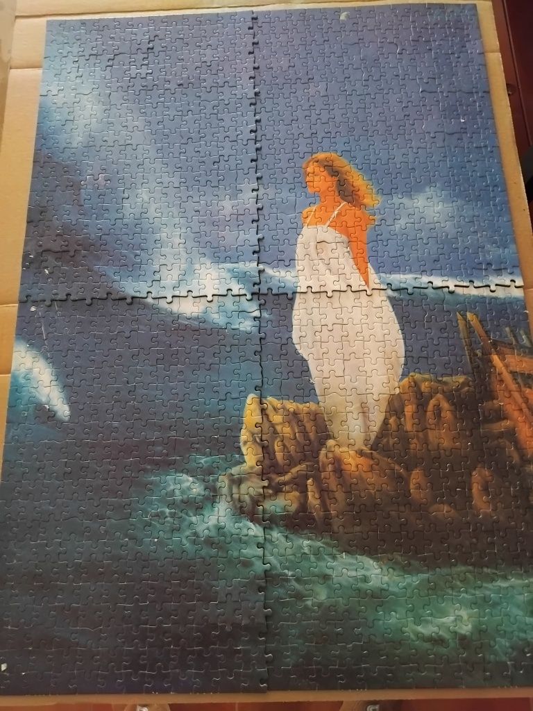 Puzzle montado 1000 peças