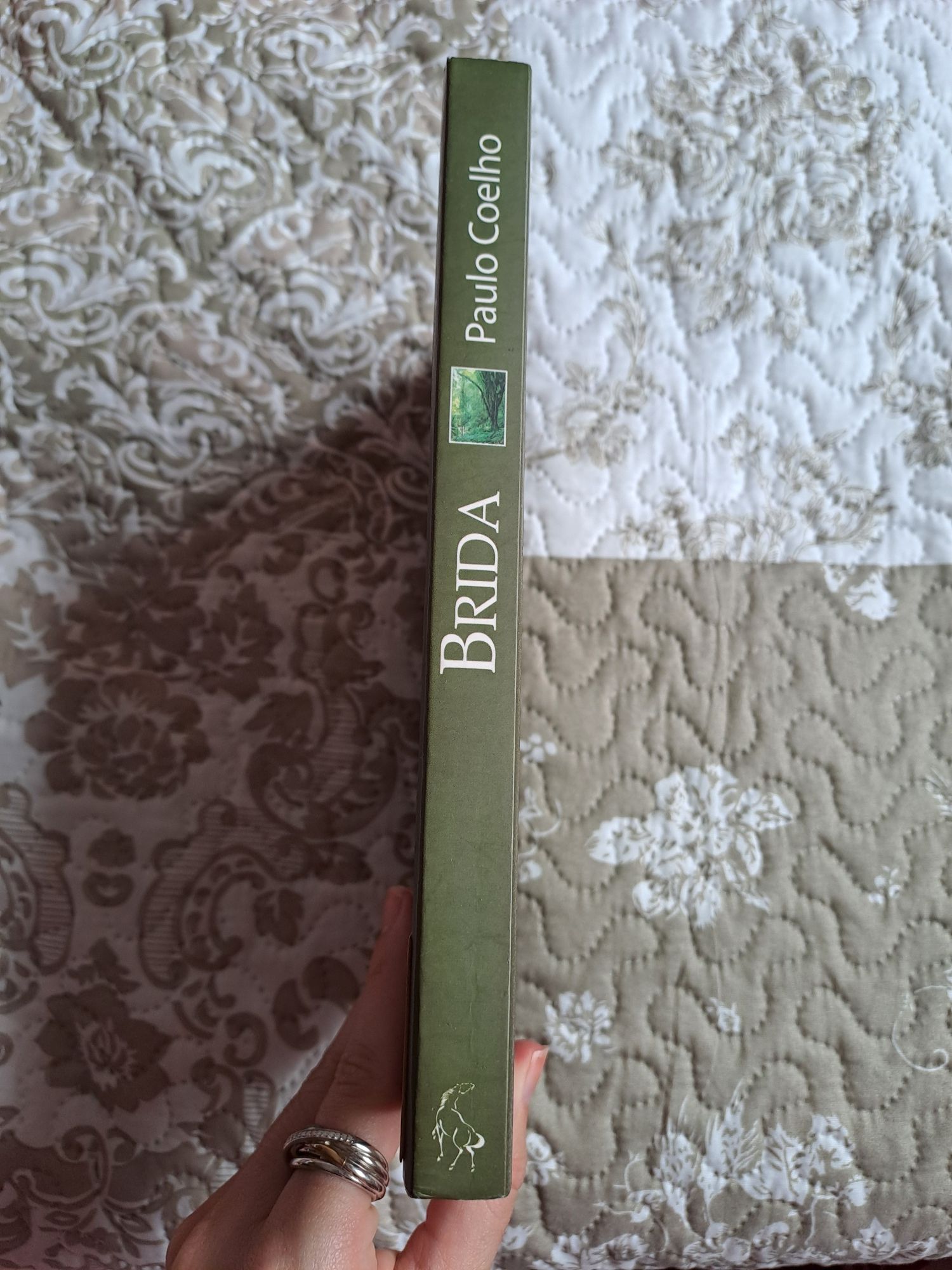 Livro "Brida" de Paulo Coelho