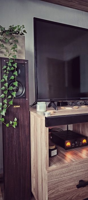 Wzmacniacz Aiyima 300W plus kolumny Koda