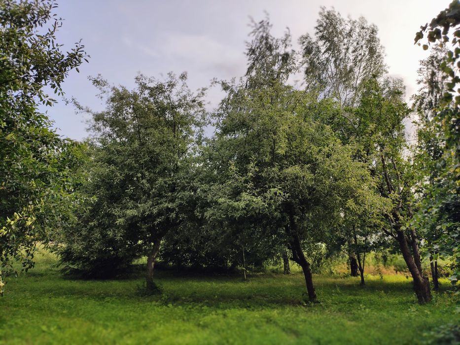 Dom w Jabłonnie, 15 min. od Lublina + budynki gospodarcze