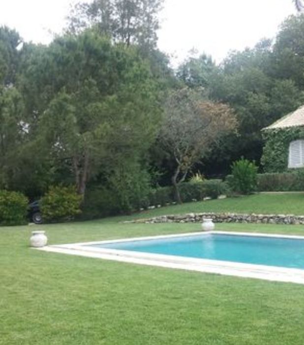 Corte de relva e manutenção de jardins