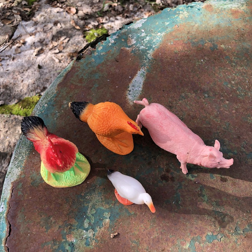 Conjunto de 4animais da Quinta