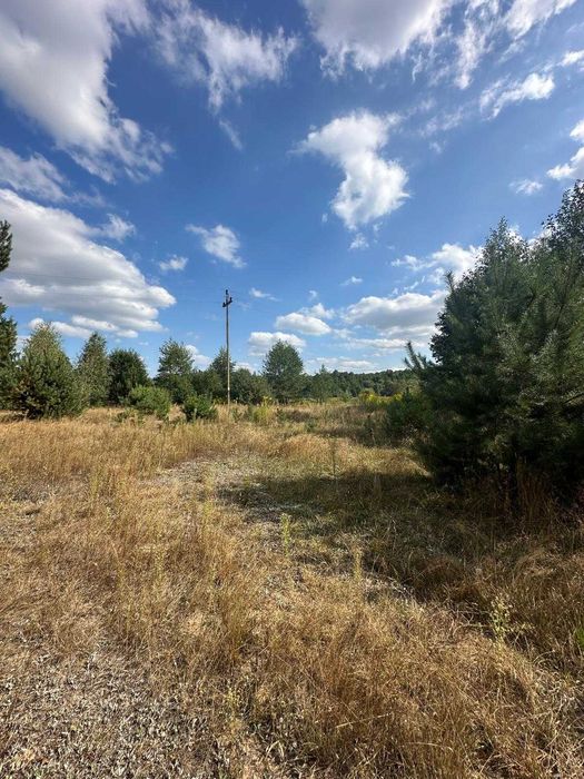 Działka 5100m2 pod lasem, siedlisko