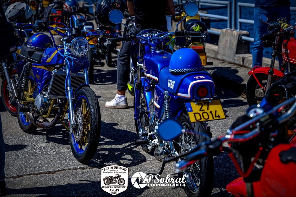 Macal Tr50 (kit polini)