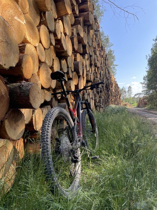 Marin Rift Zone 1 Carbon 2023