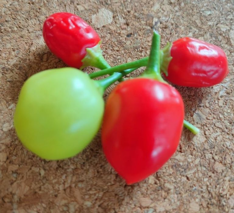 Novas adições: pimentas/ chilli peppers/ "malaguetas"