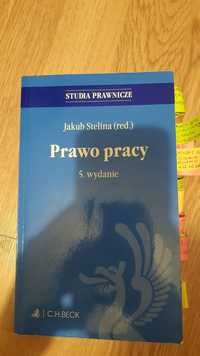 Prawo pracy wyd. 5 prof. Stelina