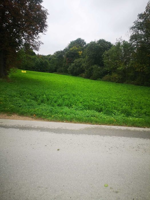 Atrakcyjna działka budowlana 17 arów Zarzecze gmina Wodzisław