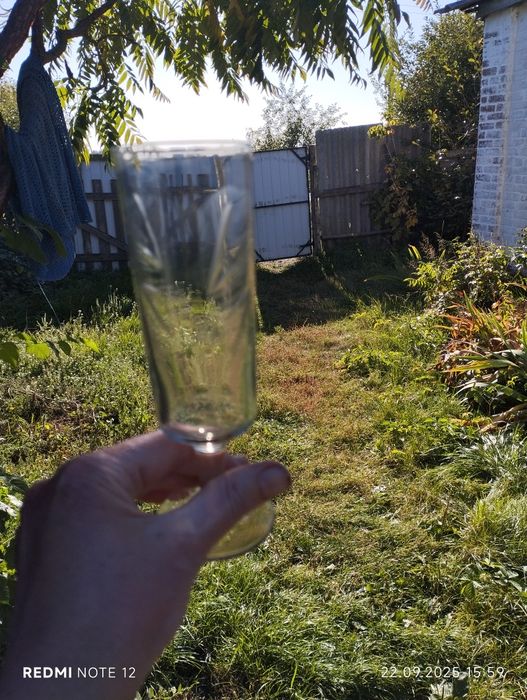 Фруктовниця і бокали СССР часів