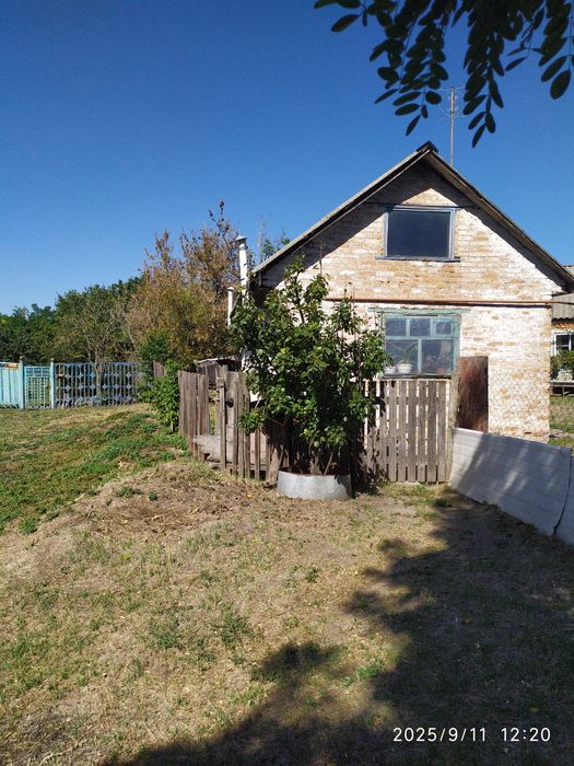 Дом в селе возле реки