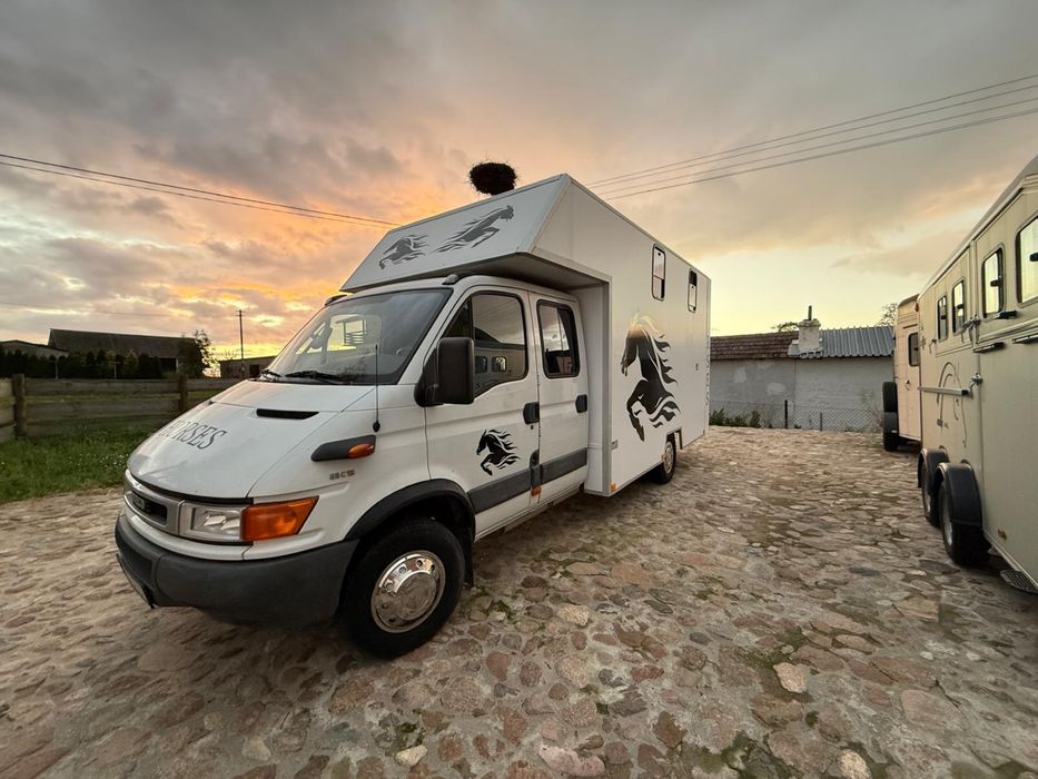 Iveco Daily  Koniowóz