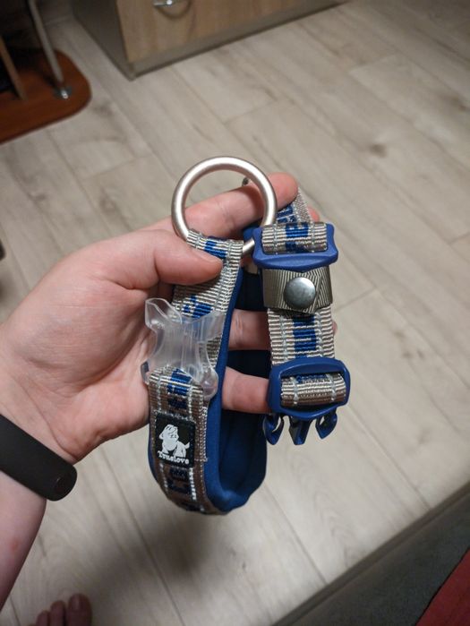 Нашийник для тварин, ошийник