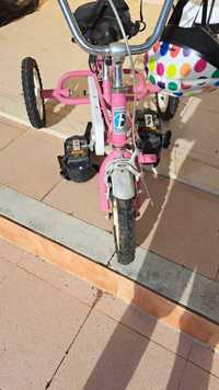 Triciclo adaptadp