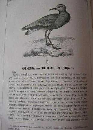 Антикварная книга "записки ружейнаго охотника оренбургской губернии Ак