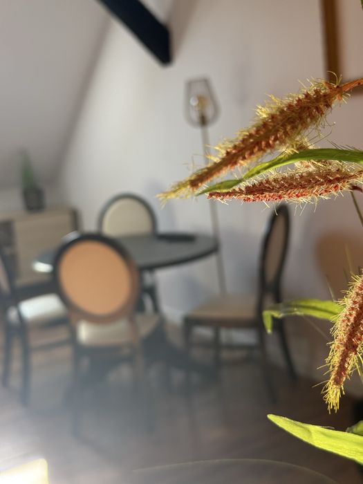 Apartamenty dla firm w centrum Inowroclawia