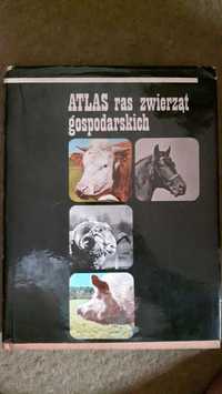 Atlas ras zwierząt gospodarskich Gabris i Szkółkarstwo sadownicze Ślas