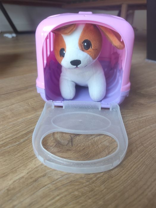 Piesek w transporterze