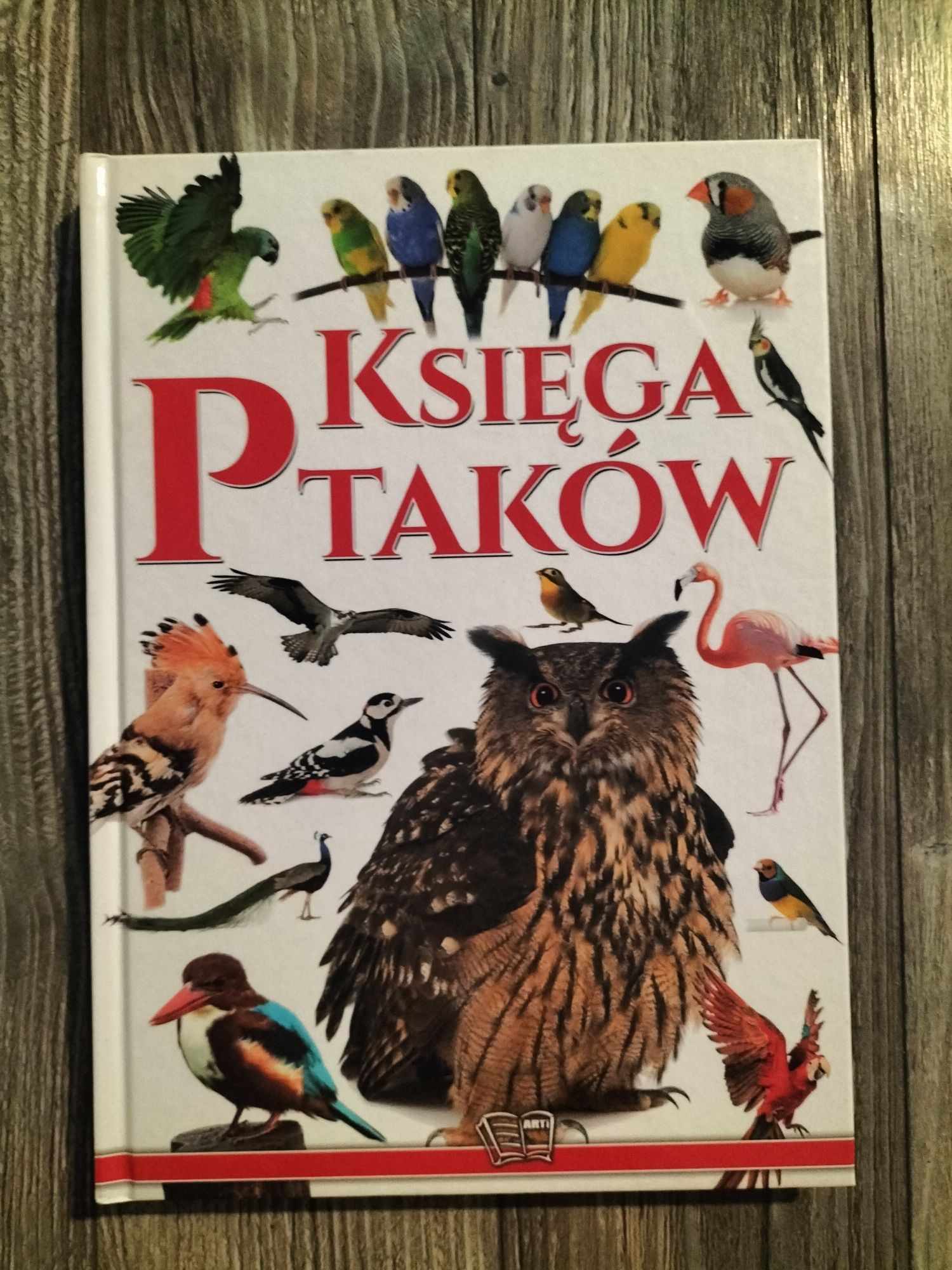 Książka edukacyjna "Księga ptaków"