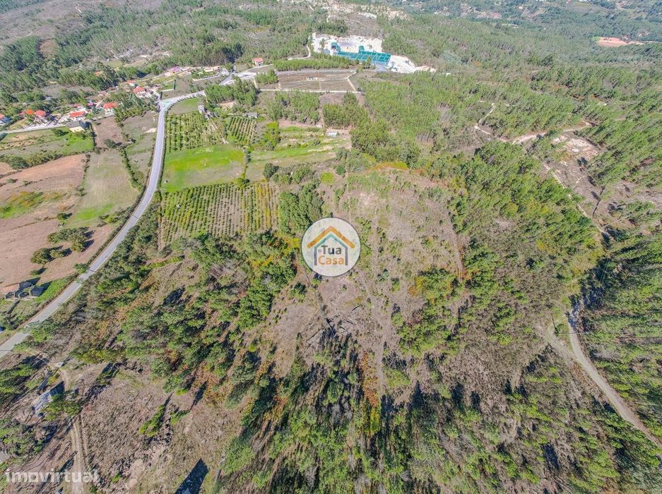Terreno Rústico em Mangualde