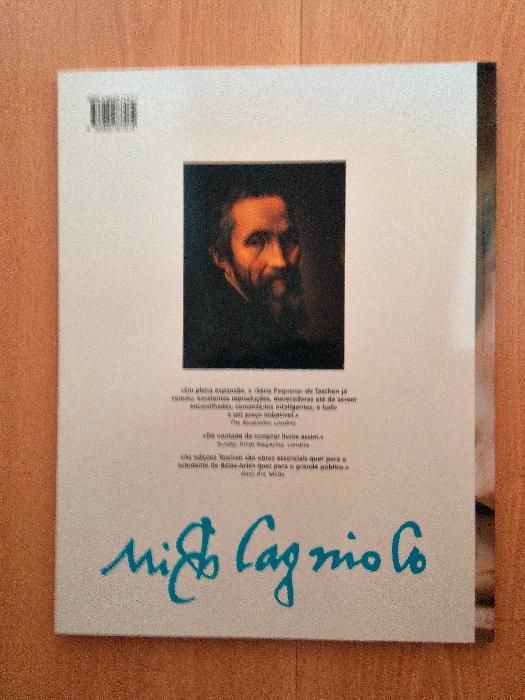 Pintura: Livro Taschen - Miguel Ângelo - Novo